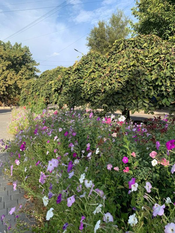 ������ ����, �������!. @VGA_Kakhovka