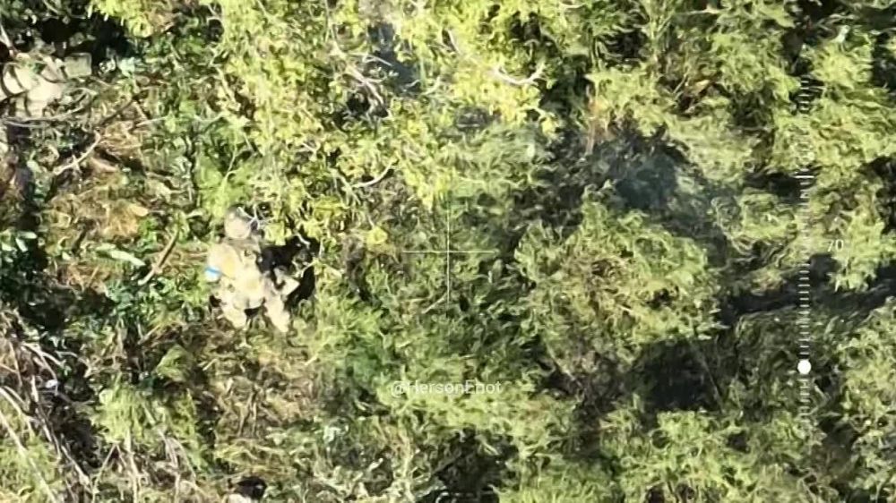 ���� �� �������: �������� ��� ��� �������� ������� ��� ��� �����������