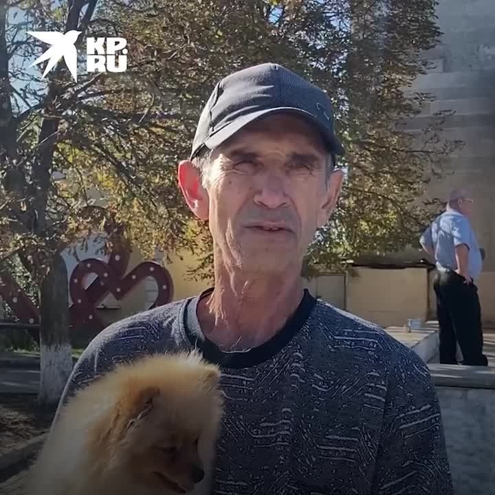 ������� ���������� �� �������: ������ ��������� ��������� ������ ����� �� ������