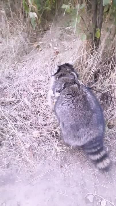 ���� �� �������: �������� ���� � ������ ����������