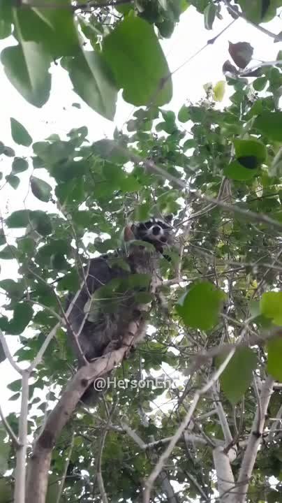 ���� �� �������: ��������� � ����� ������ ������ �����������!