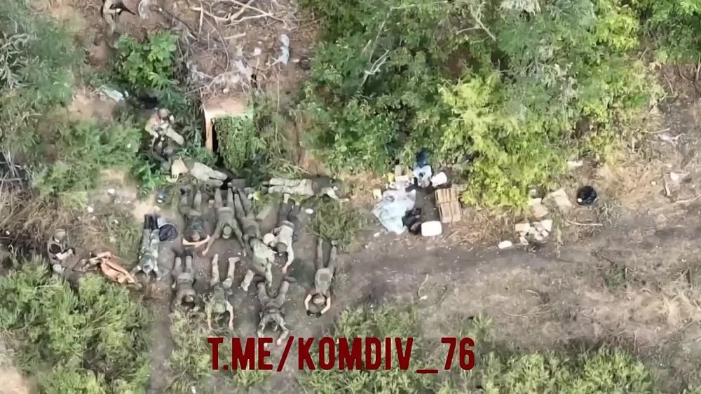 ������ ����� ���������� ����� � ���� 11 ��������