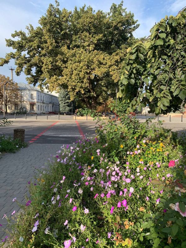 ������ ����, �������!. @VGA_Kakhovka