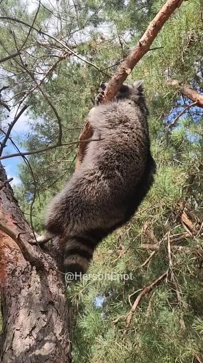 ���� �� �������: � �� ������� ��������� ������-��������� � ��������� ����!