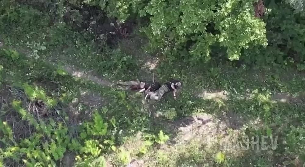 ����� �������: ���������� �����. ������� � ���, ��� ��� ���������� ������� �� �����