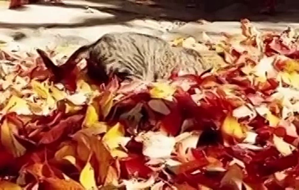 ���! � ����� �������� �������� ���������