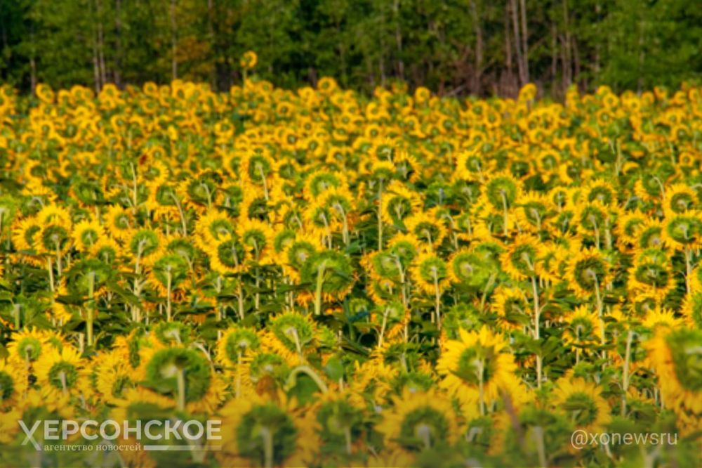 � ���������� ������� �������� ������ �������������