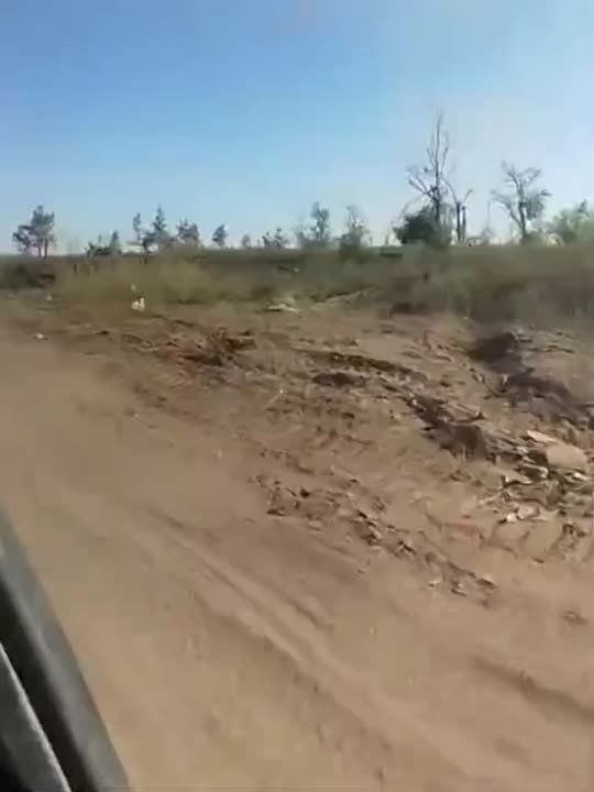 ������ ������������������ ����������� ������� ������������ ��� � ������� ����� ���������� ������ ������ � ����� �����������