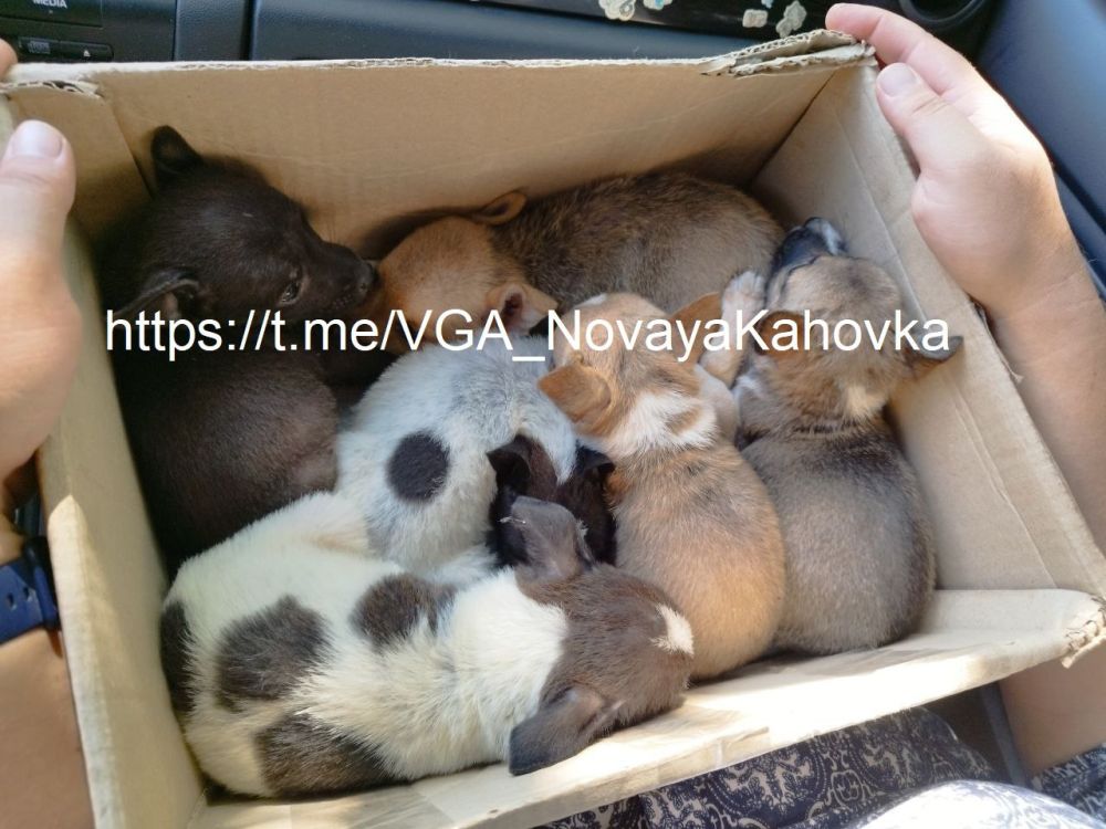 � ������������� ��������� ������ ������������ ������������ ������ ��� ��������