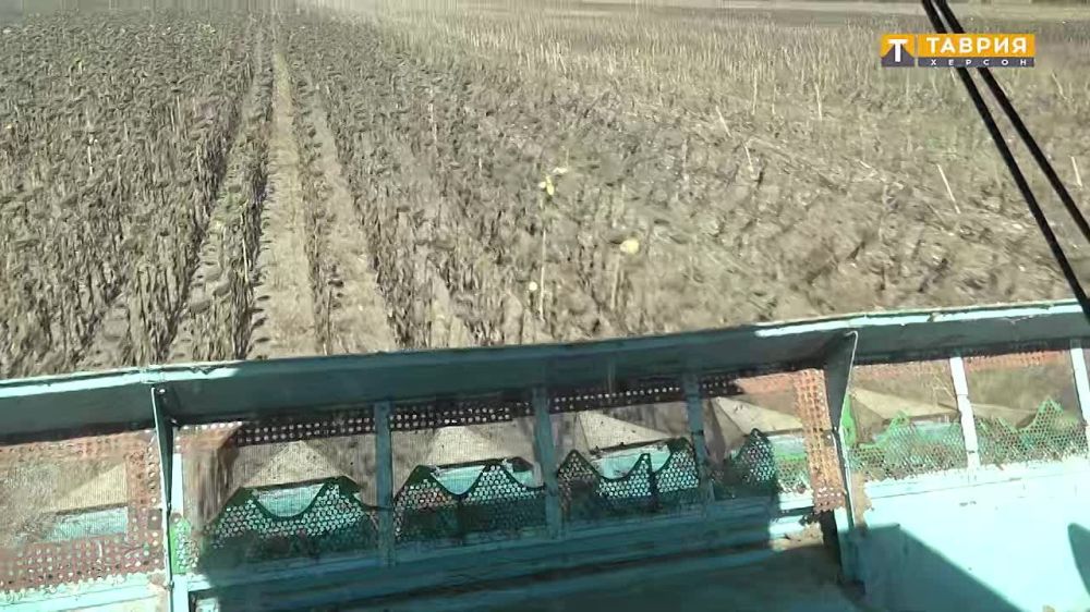 � ���������� ������ ������ ���� �������������