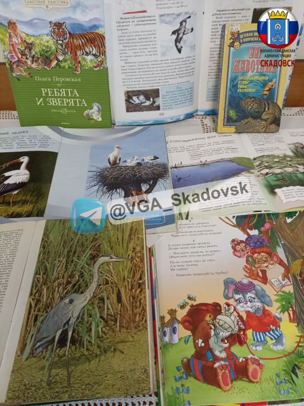 � ���� �������� �� ������� ����������� �������������� ������ ���������� �����������, ����������� ���������� ��� �������