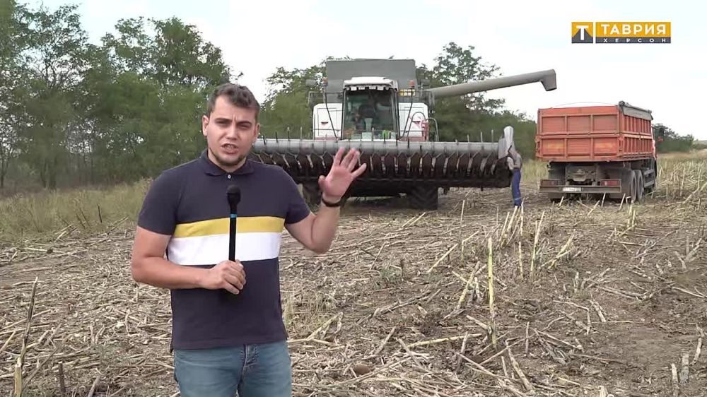 � ��������� ������ �������� ���� �������������