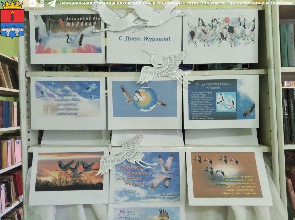 ����� �������� ��������� ������������� �����������