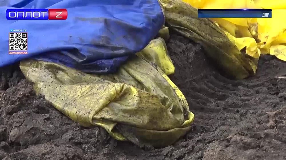 ���� ��� � �����.���������� ���� ����������� � ����������