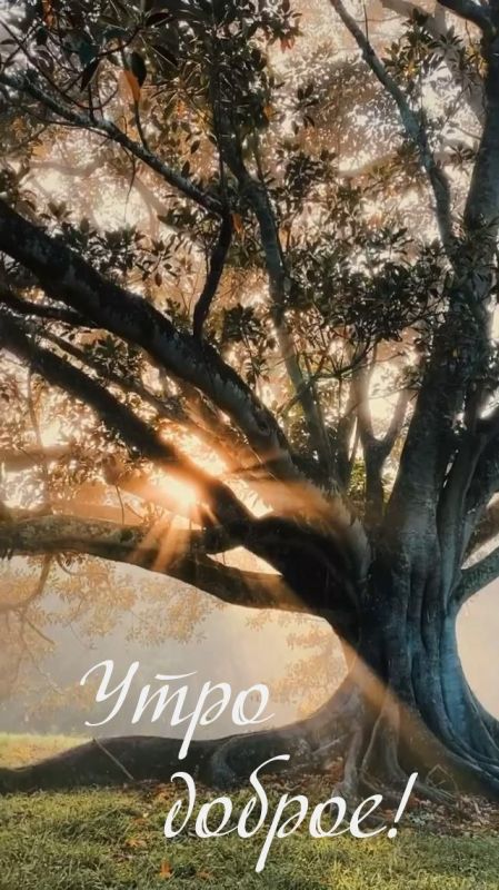 ������ ����. ������� �� ����������� �� �������� ������� � ������� ��� � ���� �� ��������� � �����, � �� ������ ������ ����� ��������� ����� ������. ��� �������. ����������� �� +13 ����� �� +25 ����