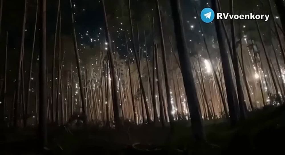 ���� ����� �������� ������������ ��������� ��������� � ���������� �����