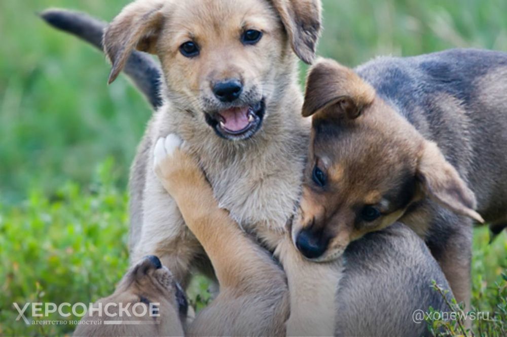 � ������������� ��������� ������ �������� ������������� ������ �������� ������ ��� ��������