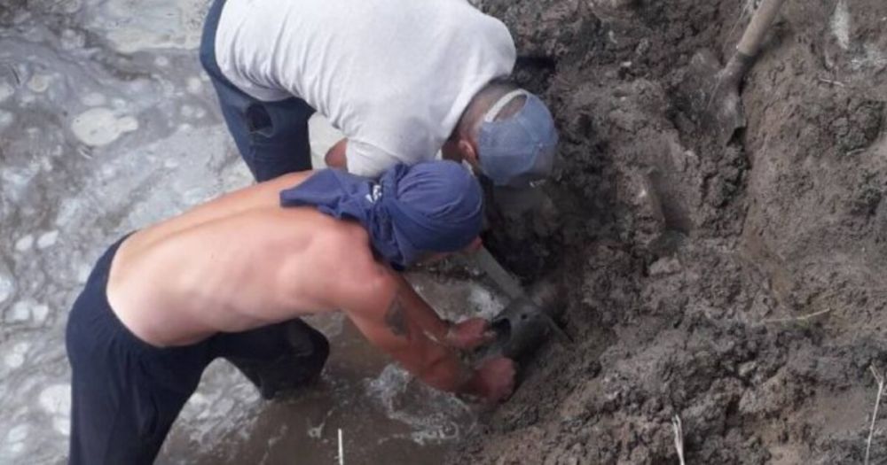 � ������������� ������� ������ ������ � �������� ��������� ������ ����