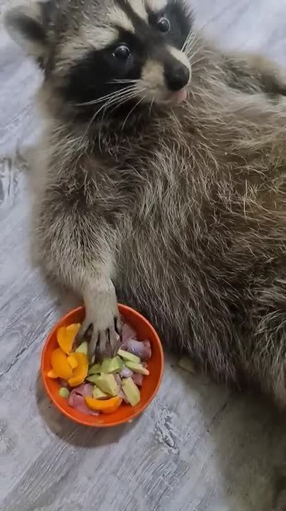 ������� ���������!. ���� ����������� ���������� � ��������� ������!