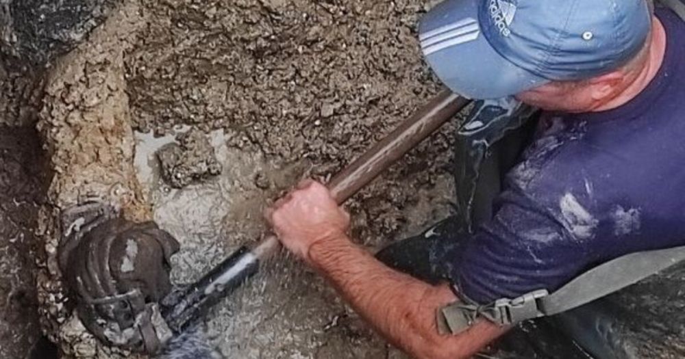 ������������� �������� ������������ ����� � ���������