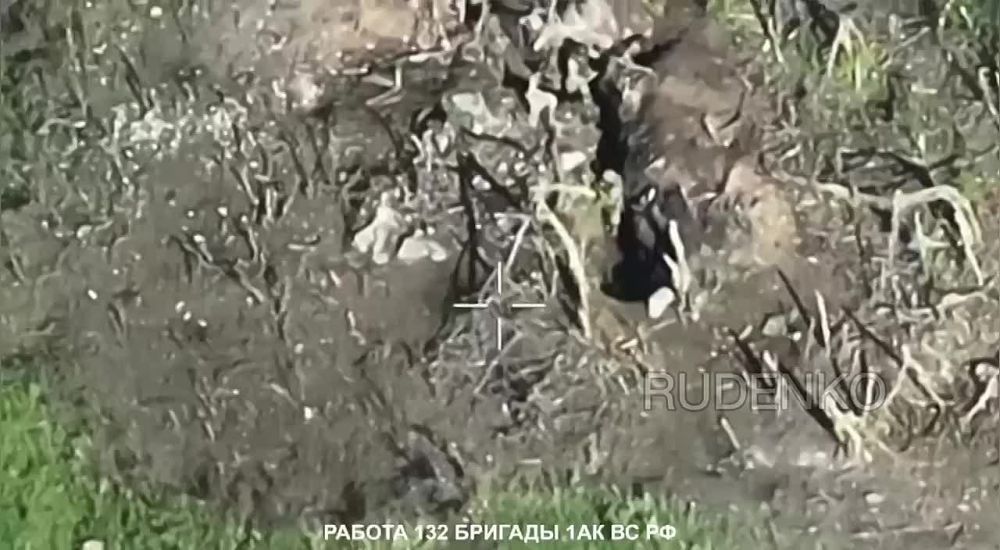 132 ������� 1 �� �� �� � ������� ���������� �������� ������� ����� �� �������� �����������