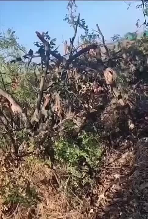 ������������ ��� ��������� ����� ������ ���������� ������ ����, �������������� ������, ��� ��� ���� ����� �������