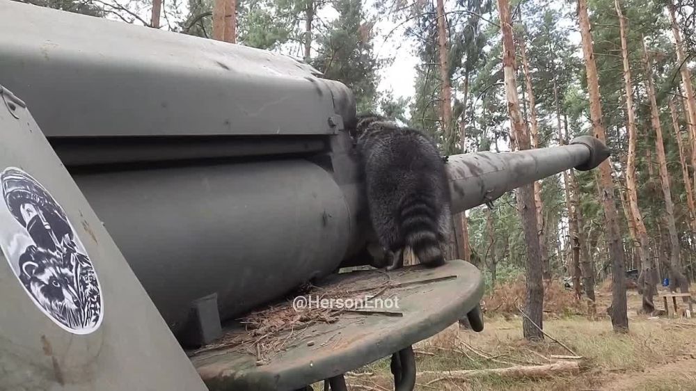 ���� �� �������: ������� ���� � �������� ��� ����, ����� ��������