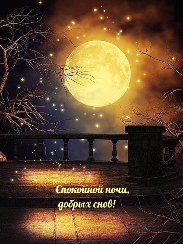 ���� ������ ����� ������� ������ � ������ ����