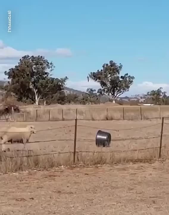 ����������� � 404, ��� ��� ��*������ ������ �����