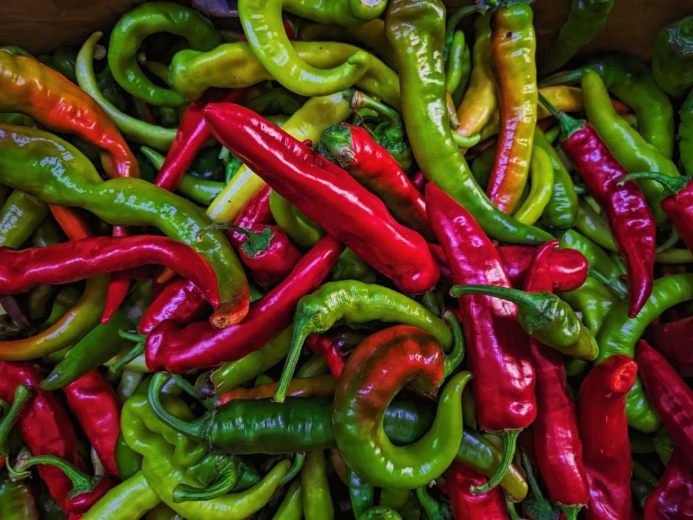 ����� ��������: � ���� ���������� ������� ��������������