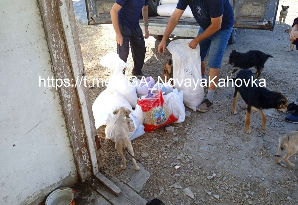 � ������������� ������ �������� ����� ��� ��������� ��������