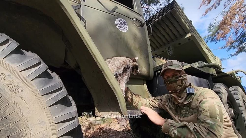 ���� �� �������: ������, ��������� ��� �������� � �������� ��������� ������ ��������� ��� ���� � "������", ������� ��������������� ���� ������