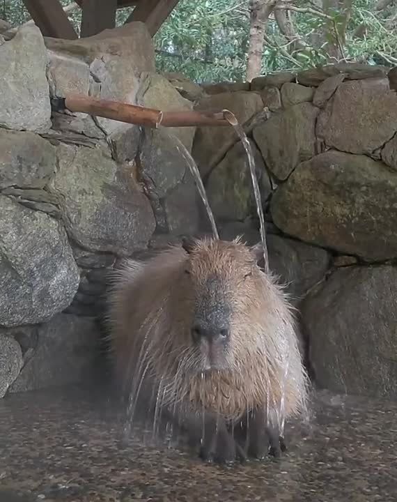 ������ ����, �����������!. ����� �� ���������� �� ������� ����������� ����������. ����������, ���������� ������� ����������� � ������ ������ �� ��������. ������ ������������� ��� � ��������� ����� ������! ������������� �������������� �������������