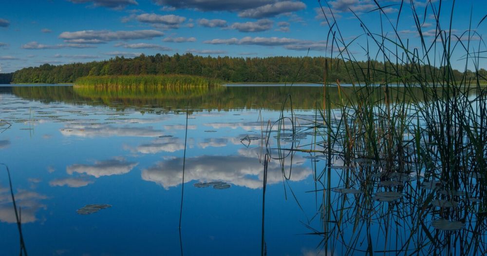 ���������� ���������� ��������� ������� � ���������� �������