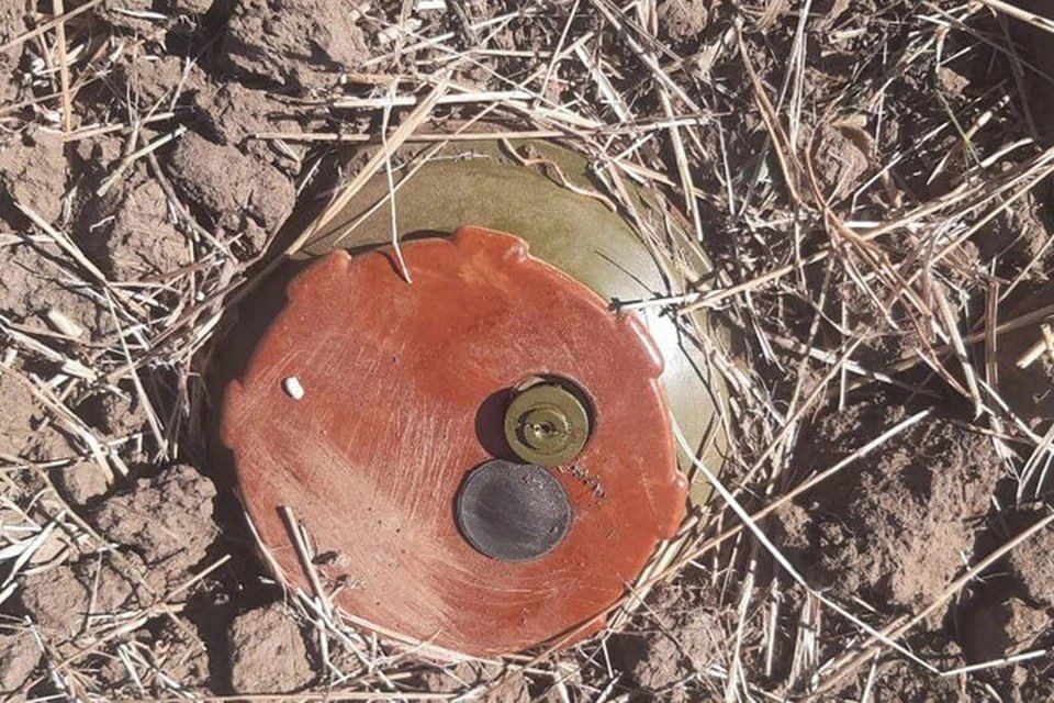 � ���������� ������ ����� � ���������� ��������������� ����