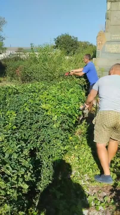 ������� ������� �������������� �����