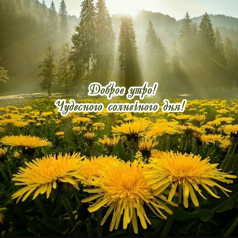 ������ ����. ������� ����� ������ � ������� ����� ����������� �� ���������� ����� ���. ��� �������. ����������� �� +12 ����� �� +27 ����