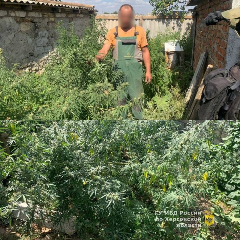 ������ ��������� �������� �� ����������� �������