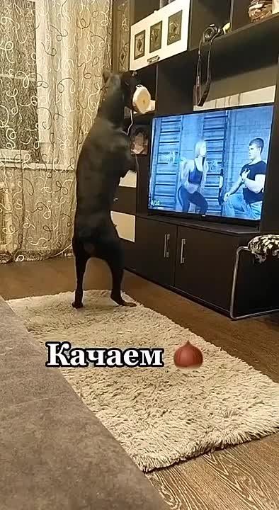 ������� ��� �����.... �������, ������, ����� ���� ������������ � ������� ��� ��������������� ������������� ��� � ������������ ����������� ����� �����