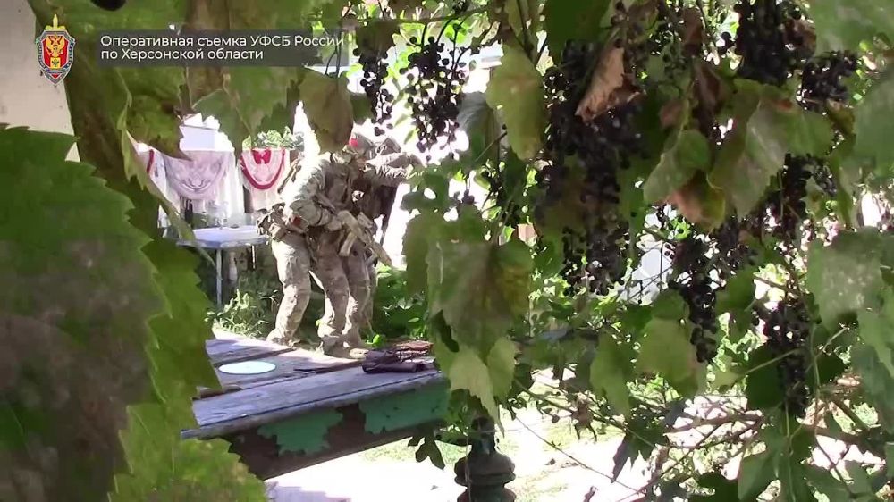 �������� ������: � 2015 ���� ���������� ����������� �������� ���������������� ������, ����������������� � �������������� ������� �����, ������ �������, ��� �� ��� �� ������� ��������, ��� ������ �� ��� �� ��������