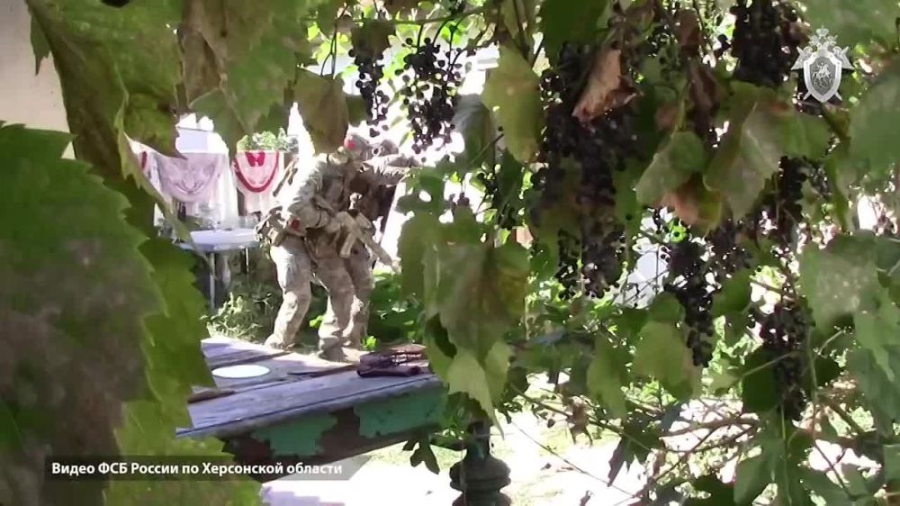 ������ ������������ ������������� � ������� � ���������� ����������� ������������ �������