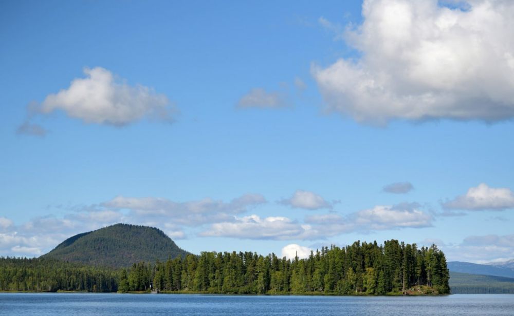 ������� �������� ����� �� ���������� ������� ������ �� ����� � ������ "�����"