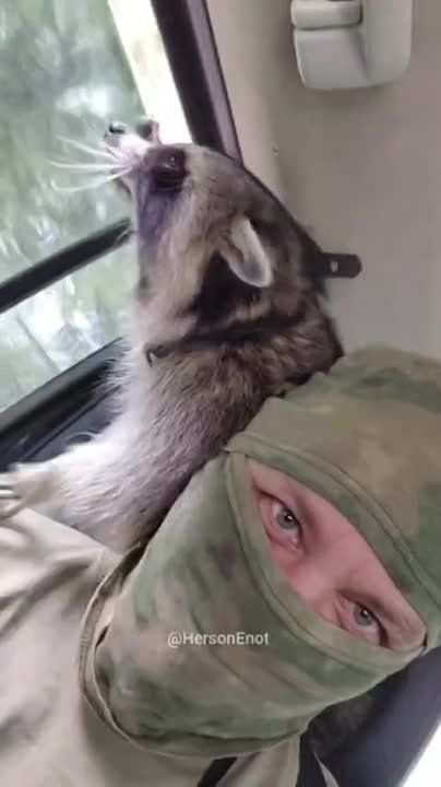 ���� �� �������: ������� ���� � �������� ���, ������! �� ��� ������� �������������� � ����� ��������