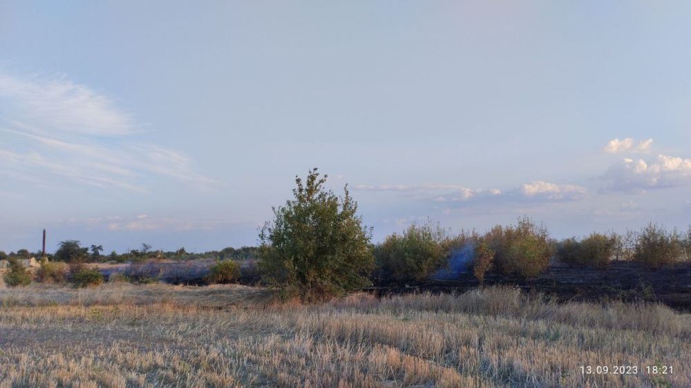 ����� ��������� �������� ��������� ������� �����