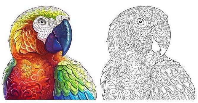 14 �������� - ���� �������������