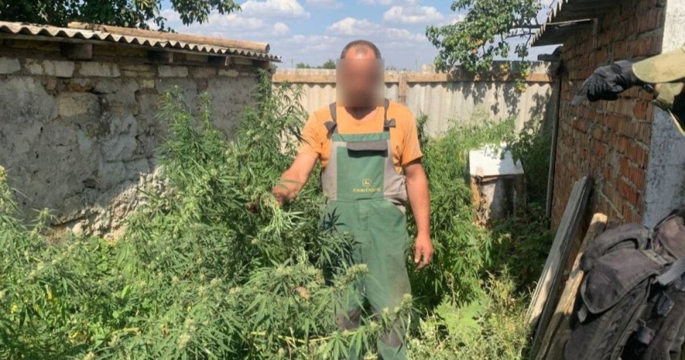 ������ ���� ����������� ������ ������ ����� ������ �������