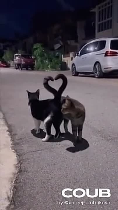 ����� �������, �� �� �� ��� �� ��������, �� ������ ������������ ����-����.