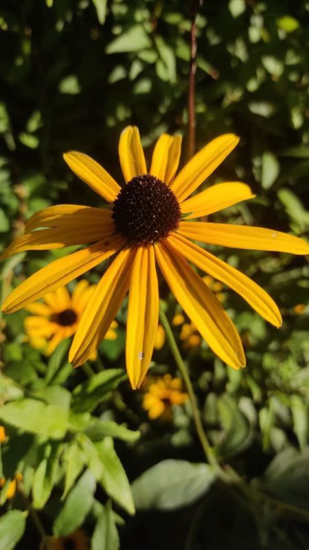 � ������ ������������ �����, �����������!