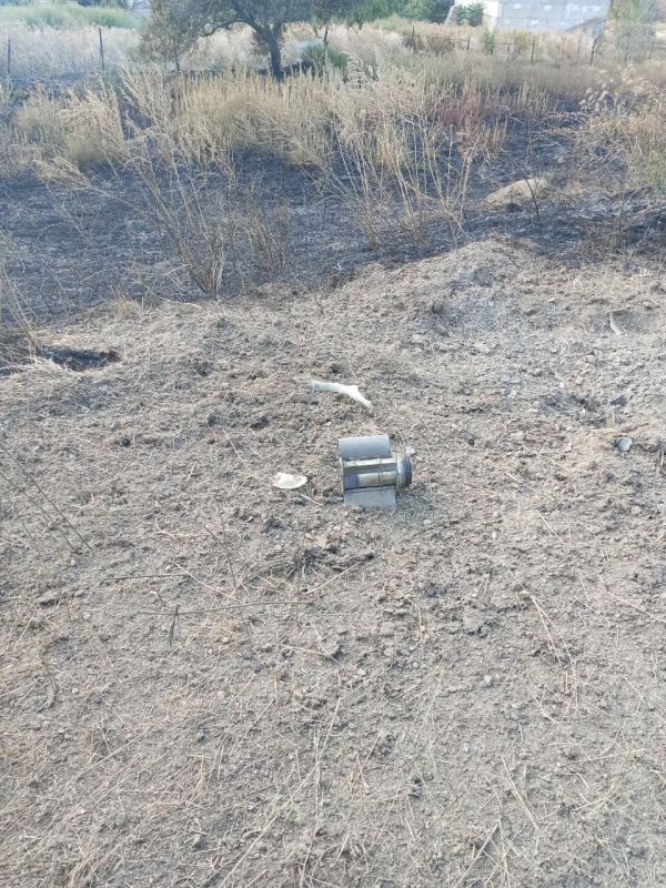 ������������ ��������������� ������