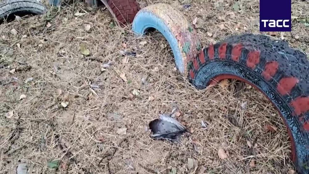 ���� ������ ������ �����, ��� ���� �������� ������� �� ����� �������� ����� ������� ���������� ������� �� ������� ����������� ��� �������